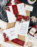 Khúc Tình Rực Rỡ