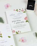 Sắc Hồng Vương Vấn