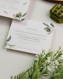 Vườn Olive Tình Yêu