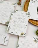 Vườn Olive Tình Yêu