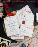 Xuân Đào Hạnh Phúc