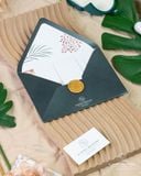 Thanh Âm Miền Nhiệt Đới