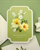 Sắc Hoa Giao Mùa
