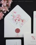Hương Sắc Mùa Xuân