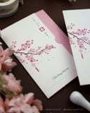 Xuân Hồng Duyên Khởi