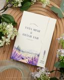 Lavender Mộng Mơ