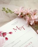Duyên Hồng Ngày Vui
