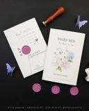 Nét Mơ Vương Vấn