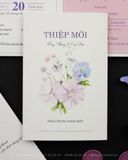 Nét Mơ Vương Vấn