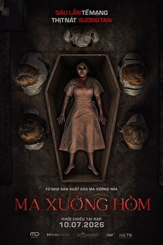 MA XƯỞNG HÒM