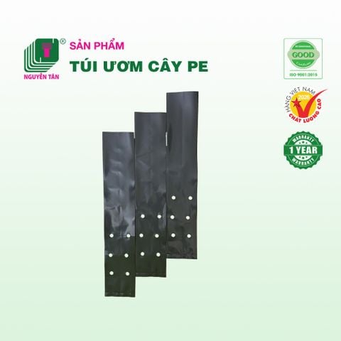 Túi ươm cây Nguyễn Tân