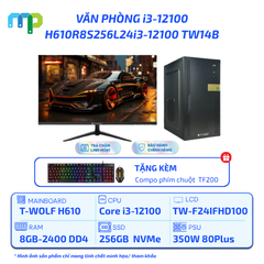 PC T-WOLF Văn Phòng Intel i3-12100/H610/8GB/SSD 256GB/350W/24