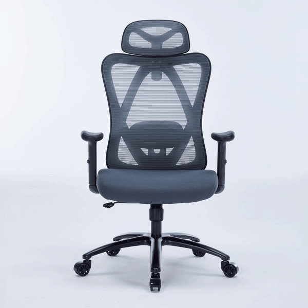 Ghế công thái học Warrior Hero series WEC501 Plus Xám