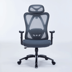 Ghế công thái học Warrior Hero series WEC501 Plus Xám