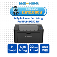 Máy in Laser đơn năng PANTUM P2505W