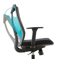 Ghế đa năng công thái học Brateck LV-CH05-7