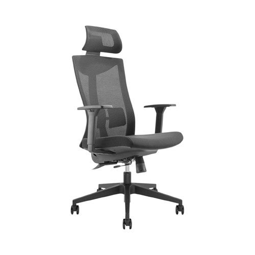 Ghế đa năng công thái học Brateck LV-CH05-8