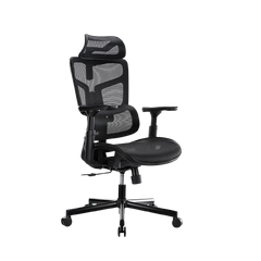 Ghế đa năng công thái học Brateck LV-CH10-10