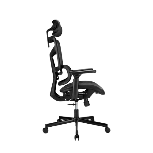 Ghế đa năng công thái học Brateck LV-CH10-10