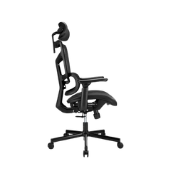 Ghế đa năng công thái học Brateck LV-CH10-10