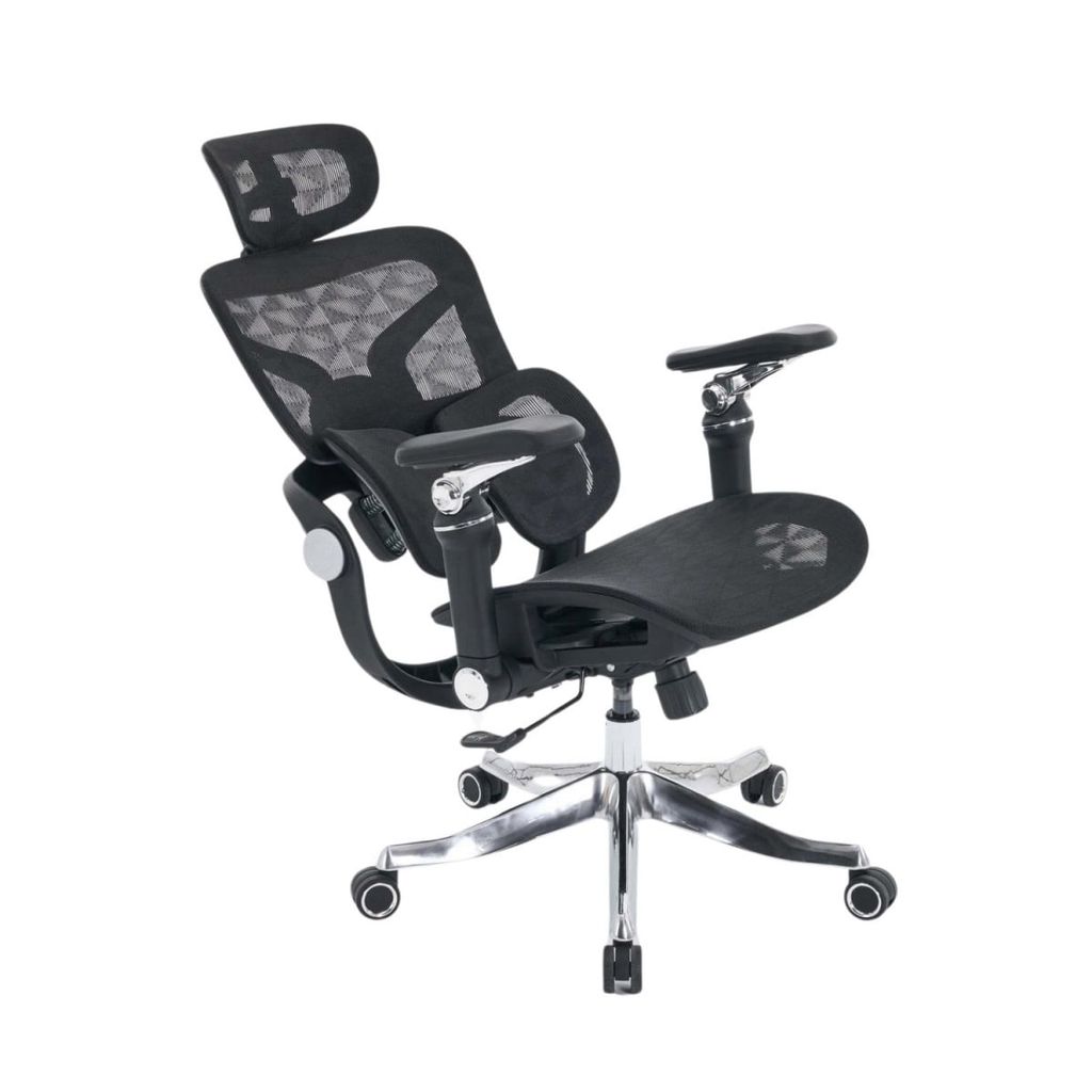 Ghế công thái học EDRA - EEC227