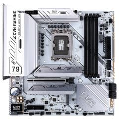 Mainboard Colorful CVN Z790M Frozen D5 V20 Wifi 6E