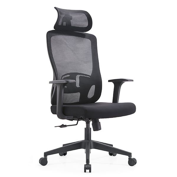 Ghế công thái học EDRA - EEC222