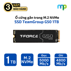Ổ cứng gắn trong SSD TeamGroup G50 1TB M.2 NVMe