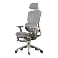 Ghế công thái học CTH-919 | Màu xám