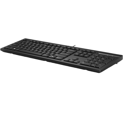 Bàn phím có dây HP KBD125 266C9AA