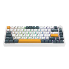 Bàn phím cơ không dây Machenike K600 B82W Wireless/Tri-mode/ RGB/ White-Blue/ GR Silver Switch