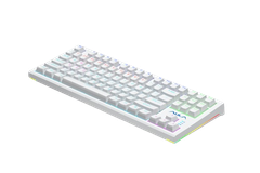 BÀN PHÍM CƠ CÓ DÂY GAMING AULA F3032(màu trắng/brown switch)