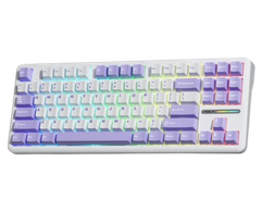 BÀN PHÍM CƠ GAMING CÓ DÂY AULA F87 (tím trắng/blue switch)