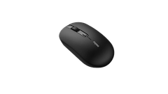 Chuột Rapoo B30 Silent Wireless - Black