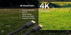 Cáp HDMI 2.0 4K 60Hz dài 20m Unitek C11079ABK