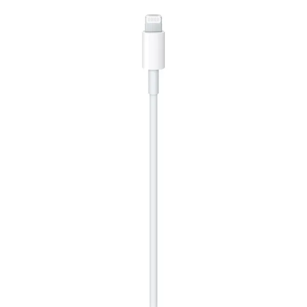 DÂY CÁP (CABLE) APPLE USB-C TO LIGHTNING CABLE (2M)