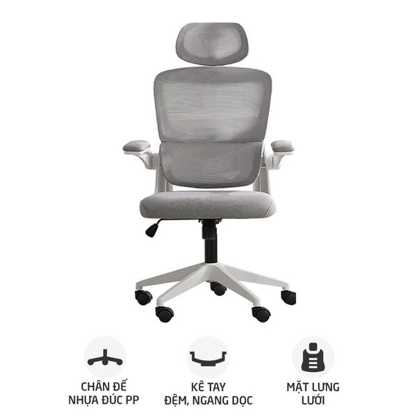 Ghế công thái học Ergonomic TMS09 | Xám