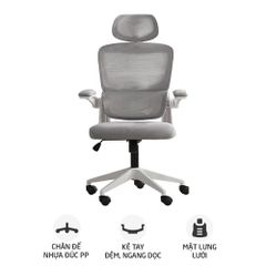 Ghế công thái học Ergonomic TMS09 | Xám