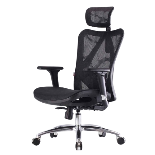 Ghế công thái học Ergonomic Sihoo M57 Đen
