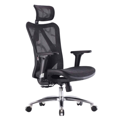 Ghế công thái học Ergonomic Sihoo M57 Đen
