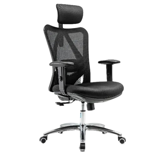 Ghế công thái học Ergonomic Sihoo M18 | Đen