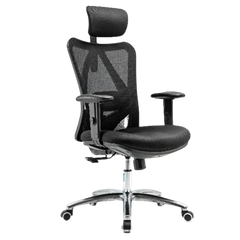 Ghế công thái học Ergonomic Sihoo M18 | Đen