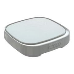 Loa không dây EIKI EBS10