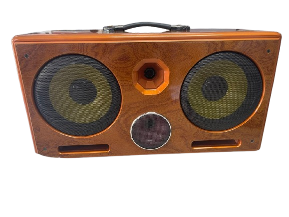 Loa Karaoke Music Professional Audio