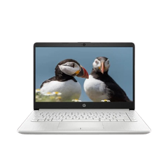 Laptop HP 14S-CF2043TU 1U3K6PA Pentinum N6405/4GB/256GB SSD/14.0 HD/WIN10/BẠC