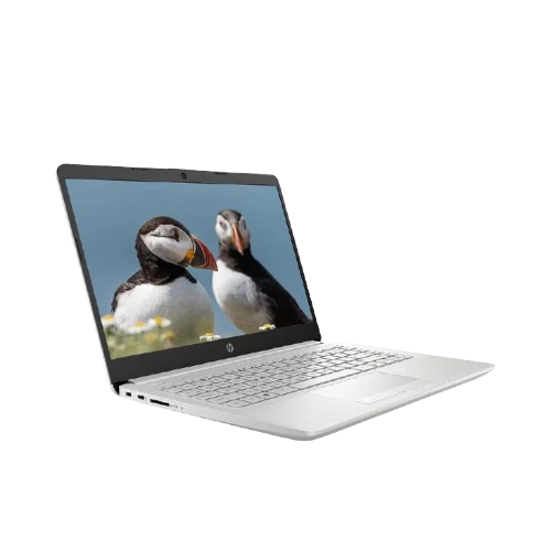 Laptop HP 14S-CF2043TU 1U3K6PA Pentinum N6405/4GB/256GB SSD/14.0 HD/WIN10/BẠC