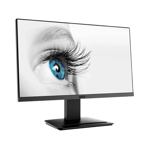 Màn hình MSI Pro MP225 21.45 inch/ Full HD/ IPS/100Hz/1ms/phẳng