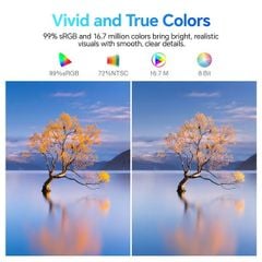 Màn hình Koorui 24