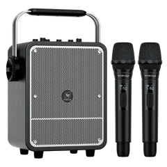 Loa Karaoke di động WinBridge S200