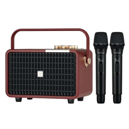 Loa Karaoke di động WinBridge L400